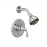 shower trim