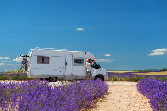 Traveler with mobile home at lavender fields in France
